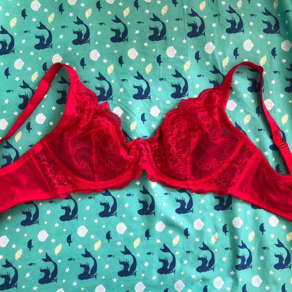 34F figleaves lace bra